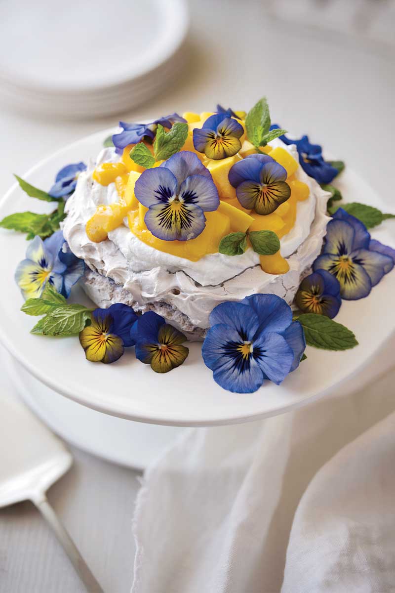 Aquafaba Pavlova with Mango, Mint, and Lime Coconut Cream