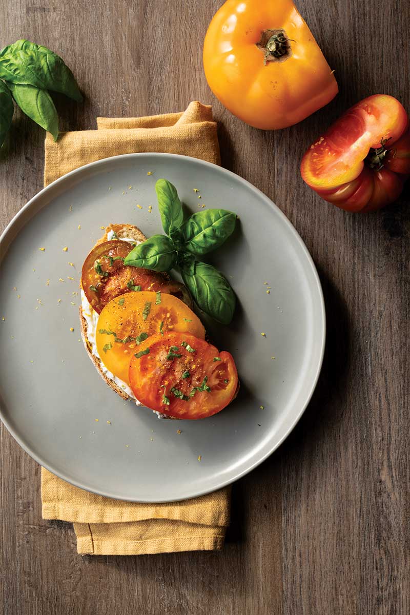 Open faced tomato sandwich