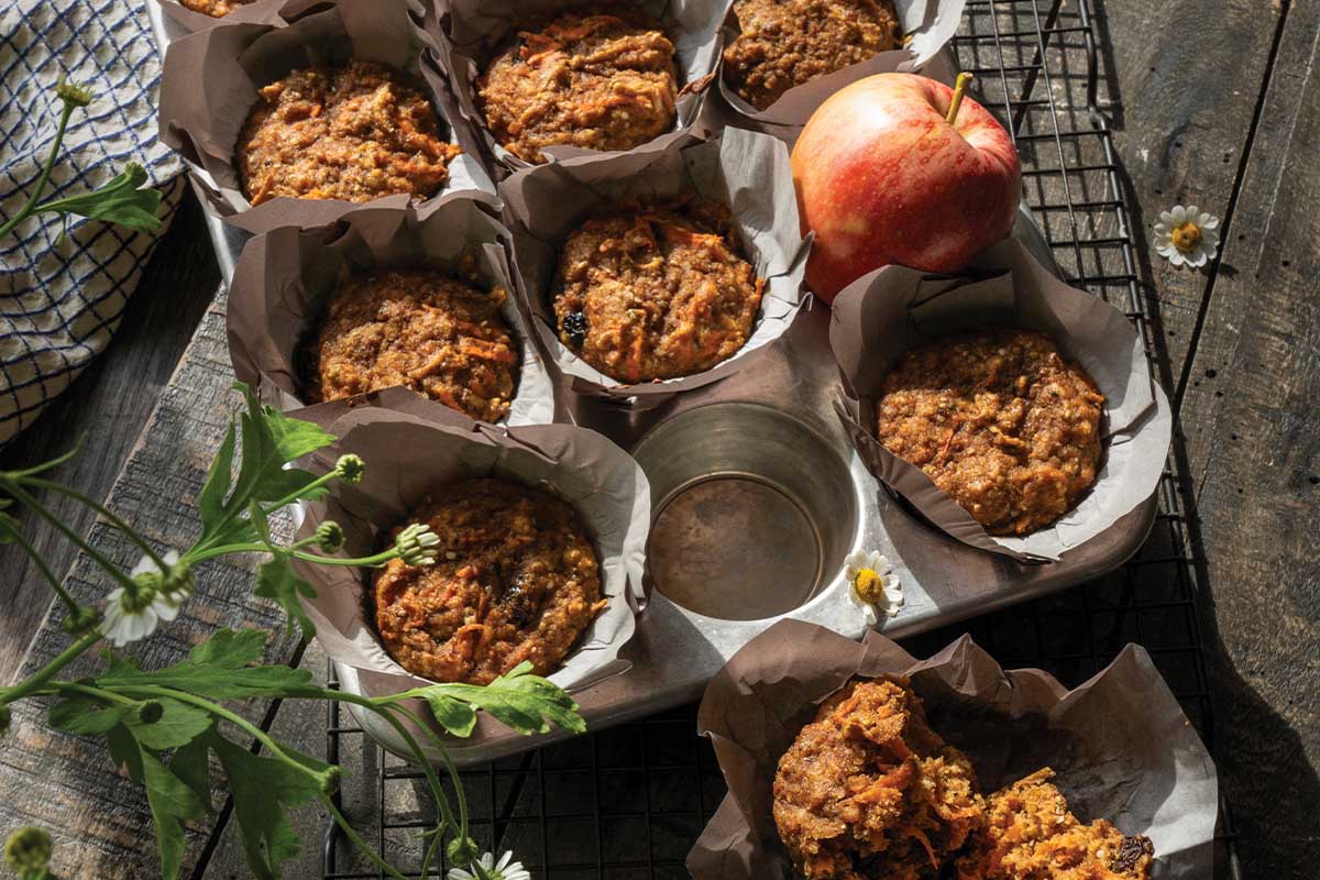 Buffalo and bison recipes