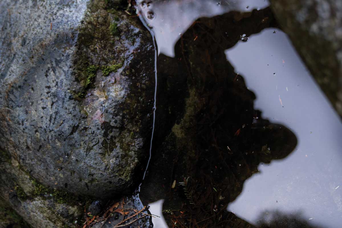 Working with shadows