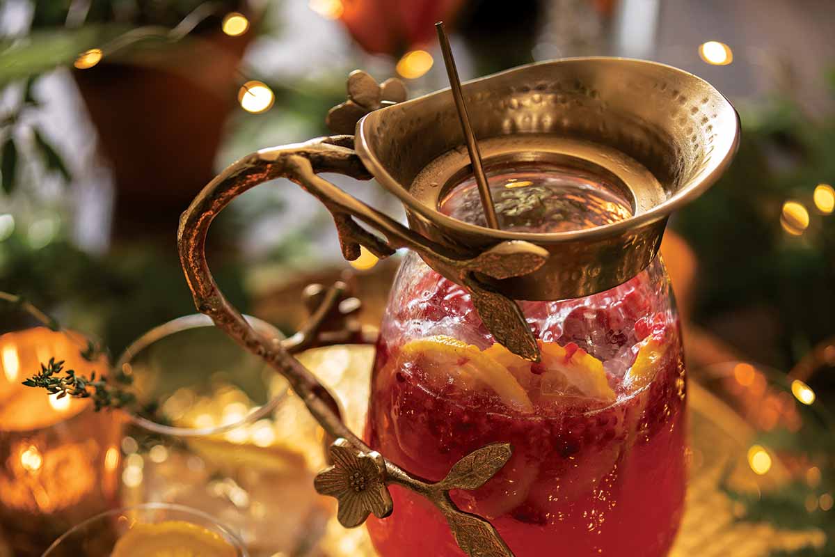 Wild foraging recipes