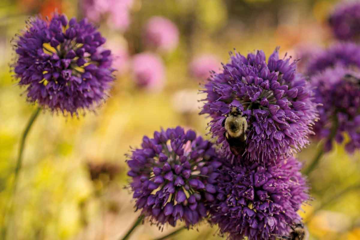 Summer lifestyle preparation