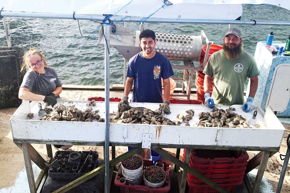 A day down on the oyster farm