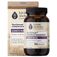 MycoSynergy Lion's Mane