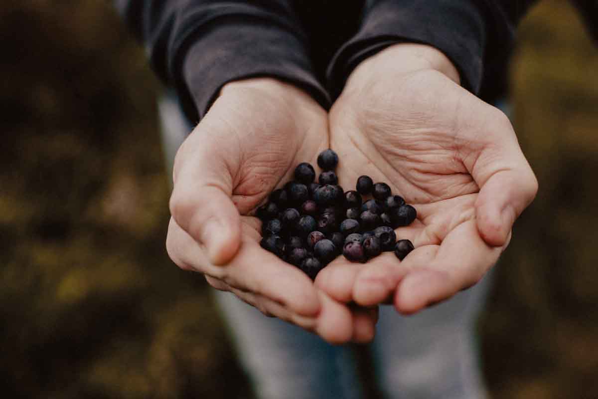 Ancestral approaches to detox