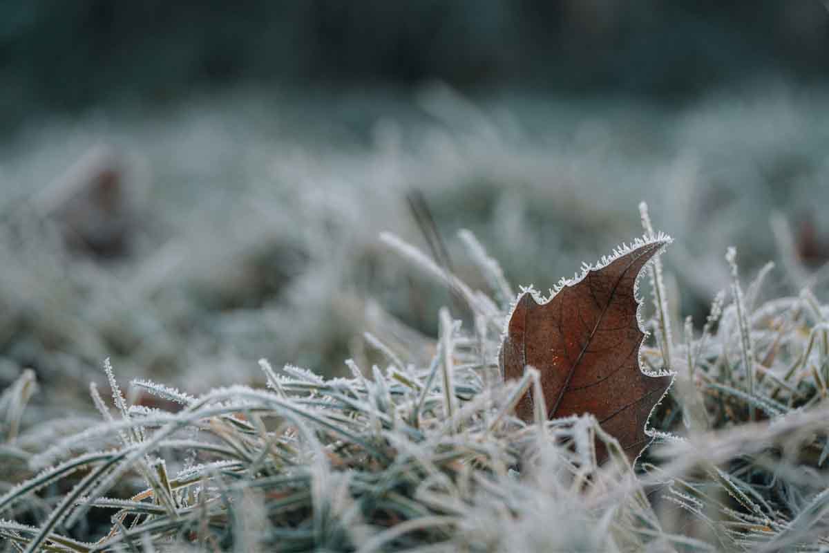 Building Cardiovascular resilience to climate change